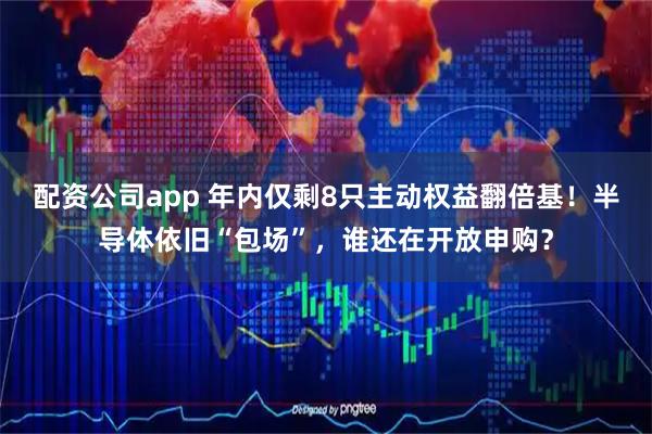 配资公司app 年内仅剩8只主动权益翻倍基！半导体依旧“包场”，谁还在开放申购？